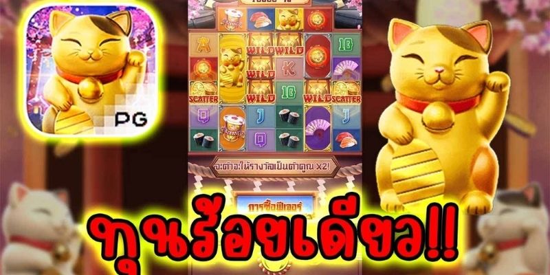 Kinh nghiệm chơi mèo may mắn từ cao thủ trong giới slot game